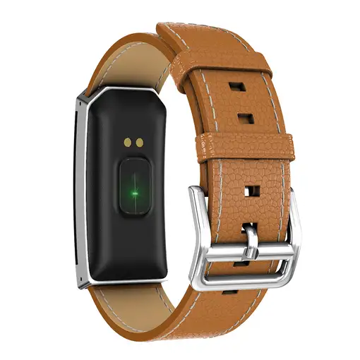 Denver BFH-250 Pulsera de actividad 2,44 cm (0.96") IP68 Marrón, Plata