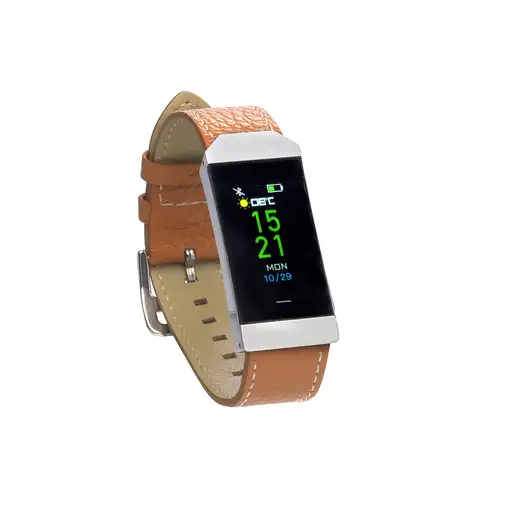 Denver BFH-250 Pulsera de actividad 2,44 cm (0.96") IP68 Marrón, Plata