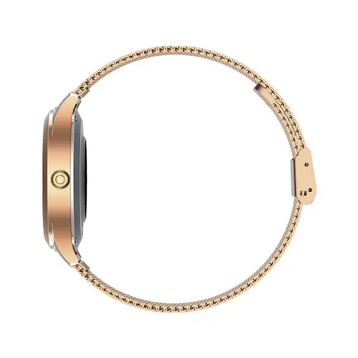 MaxCom FW42 GOLD Relojes inteligentes y deportivos 2,77 cm (1.09") TFT Digital 240