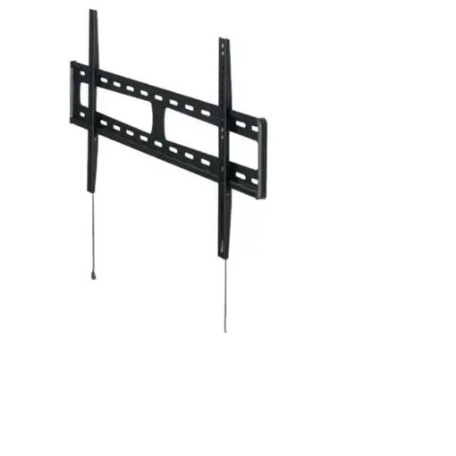 Hagor BL Fixed 800 165,1 cm (65") Negro