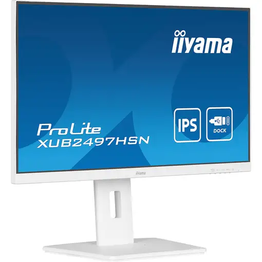 iiyama ProLite XUB2497HSN-W2 pantalla para PC 60,5 cm (23.8") 1920 x 1080 Pixeles