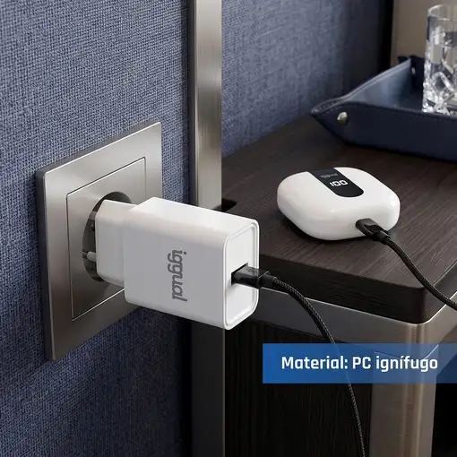 iggual Cargador de pared 1xUSB 5V/2.4A (12W)