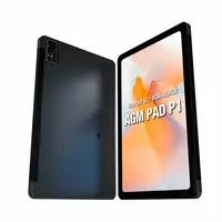 AGM PAD P1 4G LTE 256 GB 26,3 cm (10.4") 8 GB Wi-Fi 5 (802.11ac) Android 13 Gris