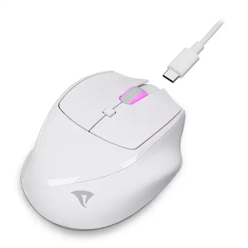 Sharkoon OfficePal M25W ratón Juego mano derecha RF Wireless + USB Type-C Óptico 4