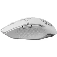 Defender GLORY GM-514 ratón Juego mano derecha RF inalámbrico Óptico 3200 DPI Defender GLORY GM-514 ratón Juego mano derecha RF inalámbrico Óptico 3200 DPI