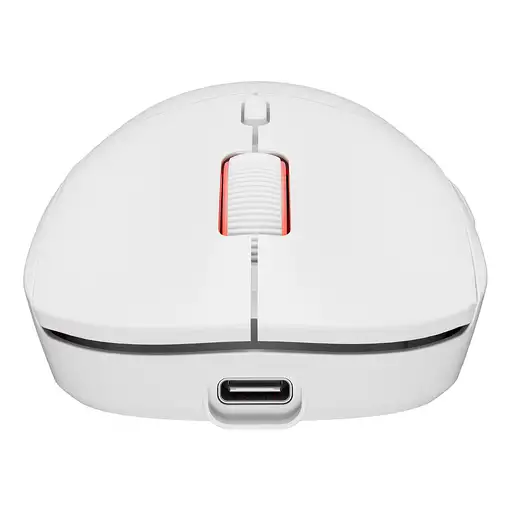 GENESIS Zircon XIII ratón Juego Ambidextro RF Wireless + USB Type-C Óptico 26000 D