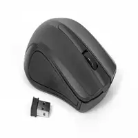 Omega OM-419 ratón Ambidextro RF inalámbrico Óptico 1000 DPI