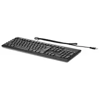 HP QY776AA teclado Oficina USB Negro