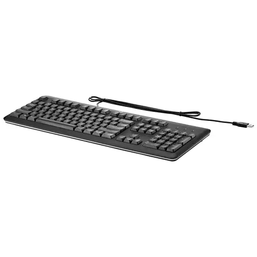 HP QY776AA teclado Oficina USB Negro