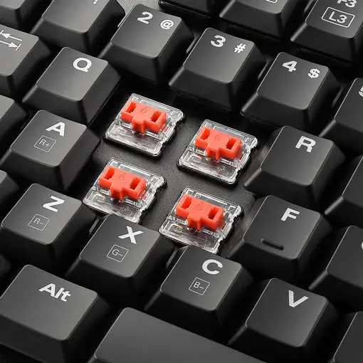 Sharkoon PureWriter RGB teclado Juego USB AZERTY Francés Negro