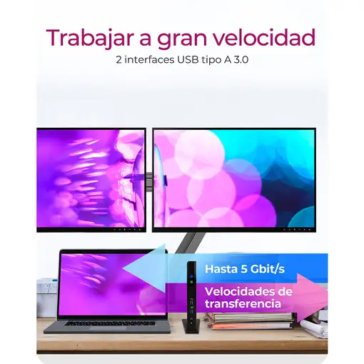 ICY BOX IB-DK2251AC Alámbrico USB 3.2 Gen 2 (3.1 Gen 2) Type-A Negro