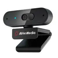 AVerMedia PW310P cámara web 1920 x 1080 Pixeles USB Negro