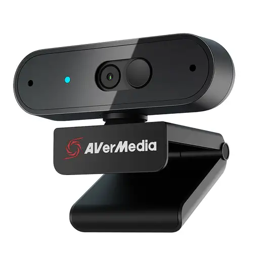 AVerMedia PW310P cámara web 1920 x 1080 Pixeles USB Negro