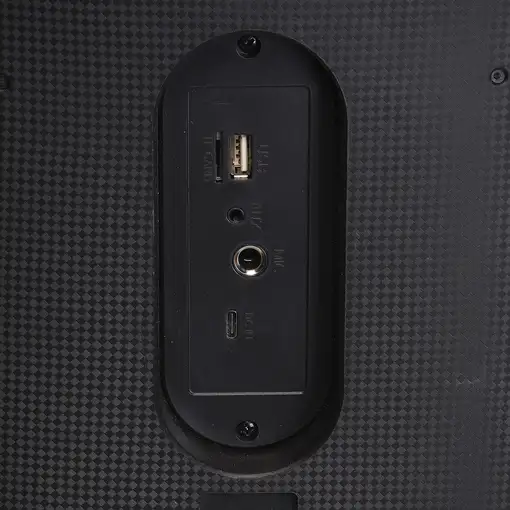 Denver BPS-354 Altavoz para fiestas Negro 20 W