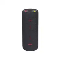 Aiwa BST-250 altavoz portátil o de fiesta Altavoz portátil estéreo Negro 20 W