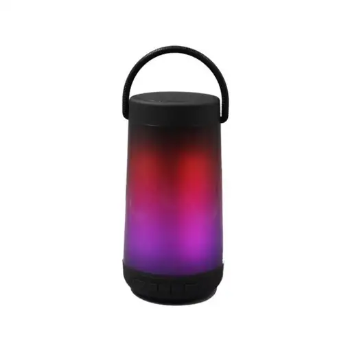 Denver BTL-311 altavoz portátil o de fiesta Altavoz monofónico portátil Multicolor