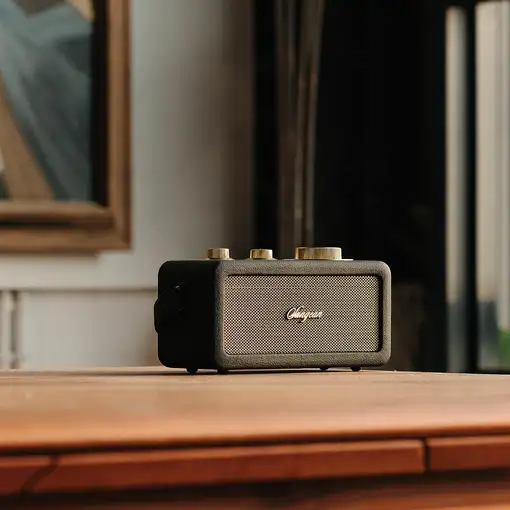 Sangean RA-101 Portátil Analógica Negro, Oro