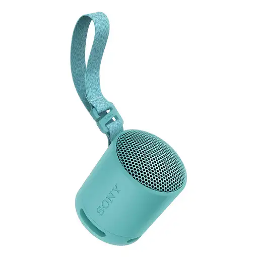 Sony SRS-XB100 Altavoz monofónico portátil Azul