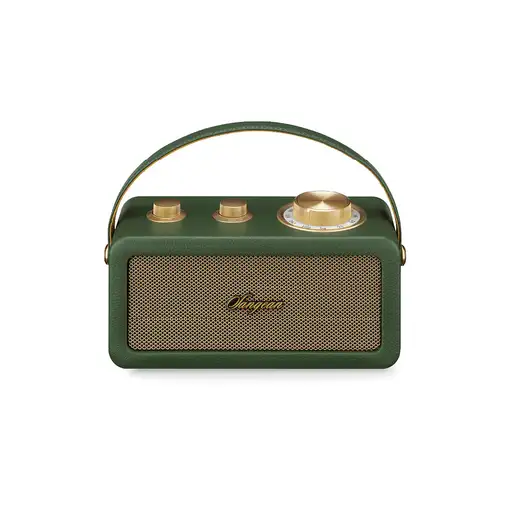 Sangean RA-101 Portátil Analógica Oro, Verde
