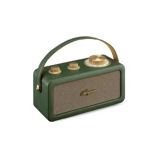 Sangean RA-101 Portátil Analógica Oro, Verde