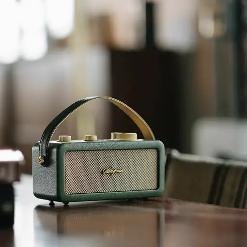 Sangean RA-101 Portátil Analógica Oro, Verde