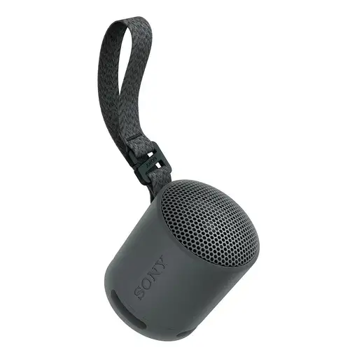 Sony SRS-XB100 Altavoz monofónico portátil Negro