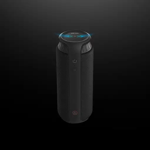 Hama Pipe 2.0 Negro Inalámbrico 24 W