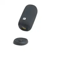 JBL Link Portable Altavoz monofónico portátil Gris 20 W