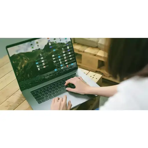 Western Digital Green SN350 250 GB M.2 PCI Express 3.0 NVMe TLC