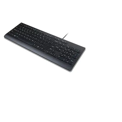 Lenovo Essential teclado Universal USB QWERTY Español Negro