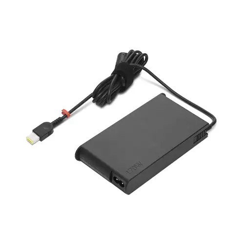 Lenovo GX20Z46287 adaptador e inversor de corriente Interior 170 W Negro