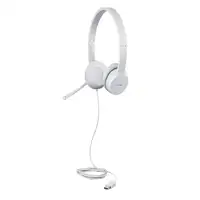 Lenovo GXD1E71385 auricular y casco Auriculares Alámbrico Muñeca Llamadas/Música U