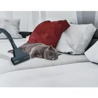 Hoover Breeze BR31PET 011 2 L Aspiradora cilíndrica Secar 700 W Sin bolsa