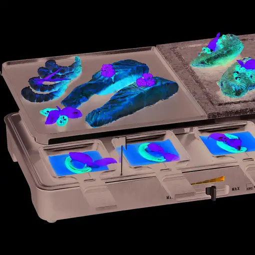 Clatronic RG 3518 parrilla de interior 1400 W Negro