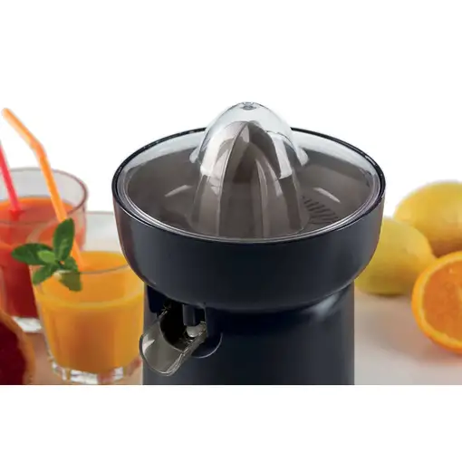 Ariete 0417/00 prensa de cítricos eléctricos 40 W Gris