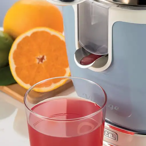 Ariete 0413/05 prensa de cítricos eléctricos 0,6 L 85 W Azul