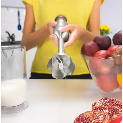 Zelmer ZHB4650 VARIO 0,7 L Batidora de inmersión 1400 W Metálico, Rojo