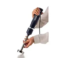 Ariete 0601/00 0,6 L Batidora de inmersión 700 W Gris