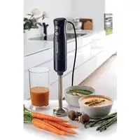 Ariete 0601/00 0,6 L Batidora de inmersión 700 W Gris