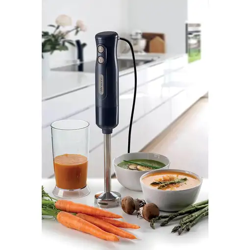 Ariete 0601/00 0,6 L Batidora de inmersión 700 W Gris