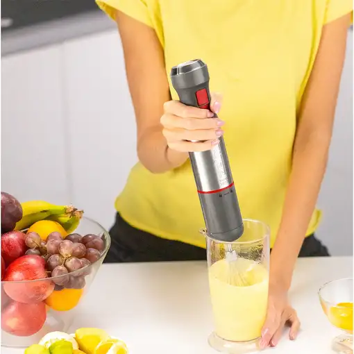 Zelmer ZHB4652 VARIO 0,5 L Batidora de inmersión 1400 W Gris, Plata