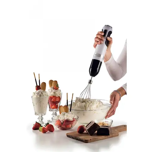 Ariete 0602/01 0,7 L Batidora de inmersión 1000 W Blanco