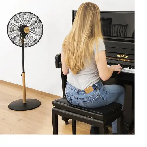 Ventiladores pie/suelo Negro CECOTEC