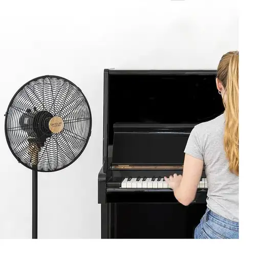 Ventiladores pie/suelo Negro CECOTEC