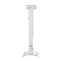 AISENS CWP01TSE-049 montaje para projector Pared/techo Blanco