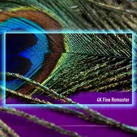 Televisor LCD 55'' 4K Ultra HD Negro Smart TV-55W95AEG PANASONIC