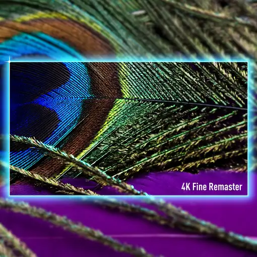 Televisor LCD 55'' 4K Ultra HD Negro Smart TV-55W95AEG PANASONIC