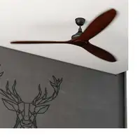 Ventiladores techo Nuez CECOTEC