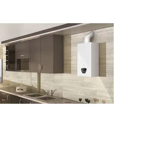 Ariston Fast Evo X 11 GPL Vertical Sin depósito (instantánea) Sistema de calentado