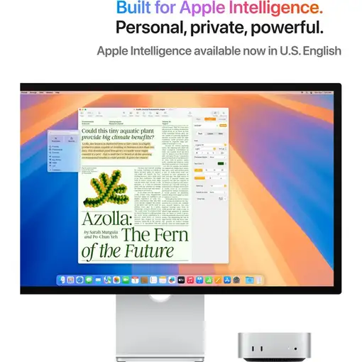 Apple Mac mini Apple M M4 16 GB 256 GB SSD macOS Sequoia Mini PC Plata